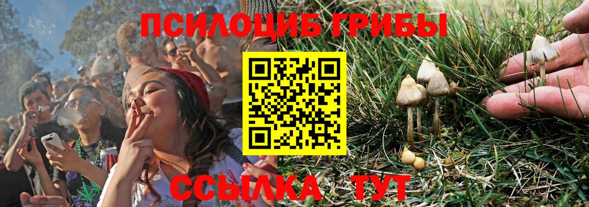 Псилоцибиновые грибы ЛСД Северск